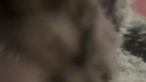 Snapshot of kg1726860 chatting on 10.11.25 kg1726860 online show from 10.11.25