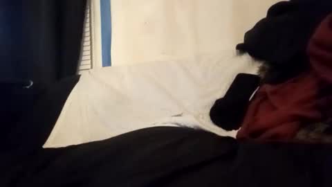 Snapshot of kickitwithfrankie chatting on 01.14.26 Frankie online show from 01.14.26