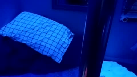 kikilovespartylights online show from 03.28.26