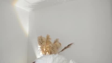 Kim Murphy online show from 10.18.25