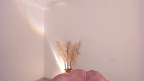 Kim Murphy online show from 02.24.26