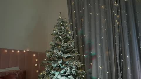 Kim Oberlin online show from 12.30.24