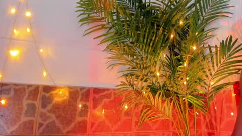 kimberly gonzalez online show from 01.17.25