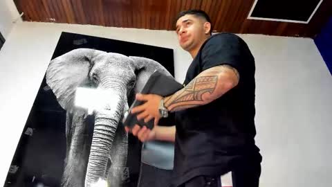 Angel Falconer online show from 11.02.25