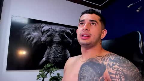 Angel Falconer online show from 01.11.26