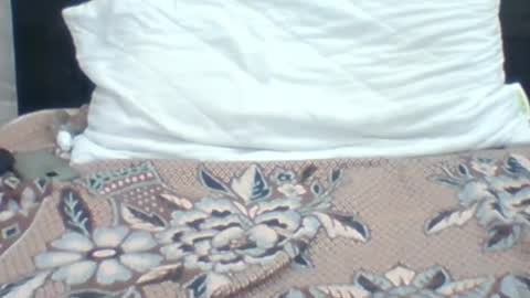 Snapshot of kingjordan122 chatting on 01.04.25 kingjordan122 online show from 01.04.25