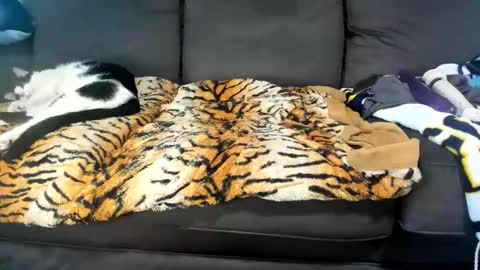 Snapshot of kinkykortney chatting on 02.04.25 Kinky online show from 02.04.25