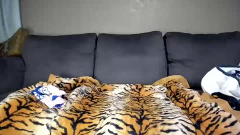 Snapshot of kinkykortney chatting on 02.11.25 Kinky online show from 02.11.25