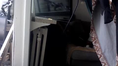 Kinky Himeros online show from 05.21.26