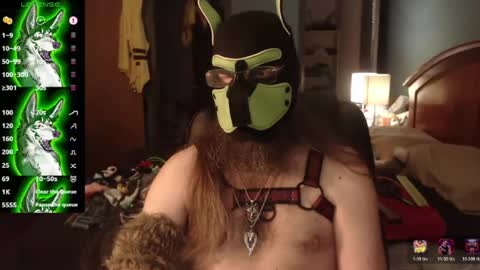 Snapshot of kinkywolf87 chatting on 07.02.26 kinkywolf87 online show from 07.02.26