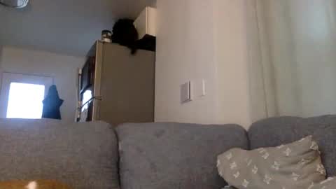 Snapshot of kinnkybwc chatting on 03.29.26 kinnkybwc online show from 03.29.26