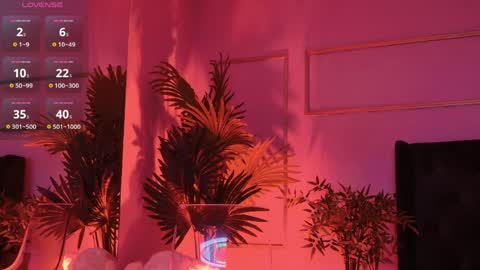 Kirra online show from 04.04.26