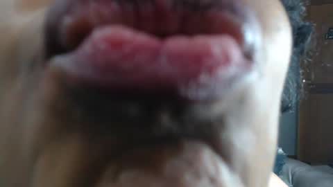 kitty online show from 01.23.25