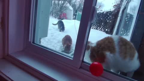 kiveuxmakeu online show from 12.27.24