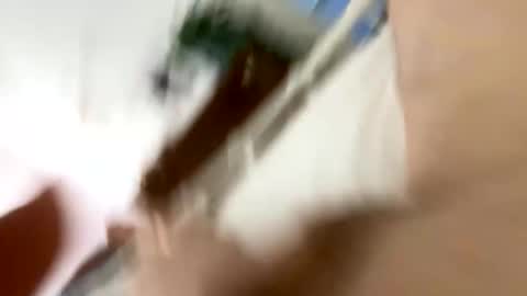 klimt2525 online show from 01.12.26