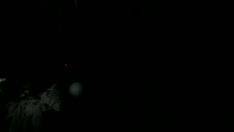 knight_rider118 online show from 03.11.25