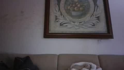 kobolt67 online show from 02.24.26