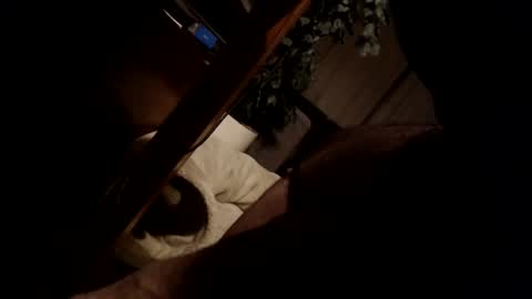 koekerdt online show from 01.31.25