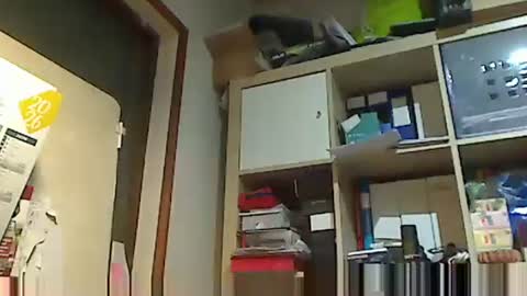 kokin3034 online show from 02.02.26