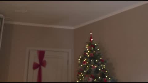 Kottyaa cb FOLLOWING  online show from 01.30.25