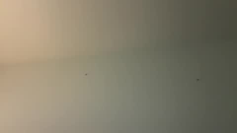 kovapoika online show from 10.23.25