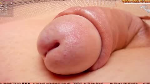 Petra online show from 11.03.25