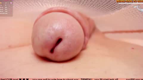 Petra online show from 01.07.26