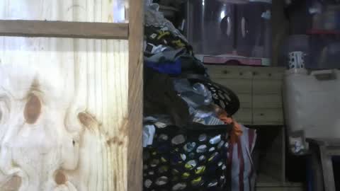 Snapshot of krishasweet chatting on 12.11.24 krishasweet online show from 12.11.24