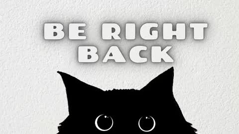   online show from 03.25.26