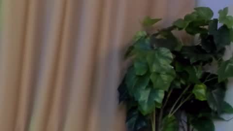 Snapshot of kristinedean chatting on 12.07.24 Kristi online show from 12.07.24