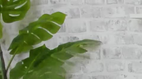 Snapshot of kristinedean chatting on 12.15.24 Kristi online show from 12.15.24