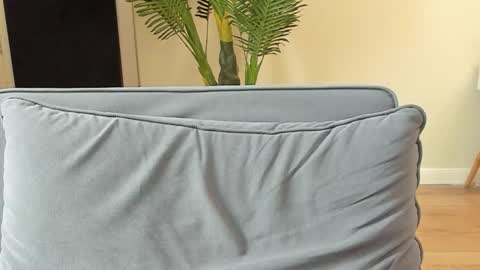 Kyle online show from 11.05.25