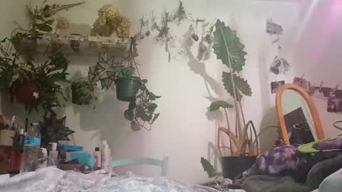 lacybell online show from 12.24.24