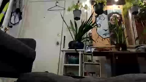 lacybell online show from 02.19.25