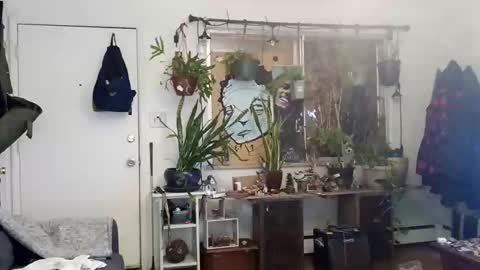 lacybell online show from 03.02.25