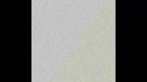 Snapshot of lady_delilah_ts chatting on 10.24.25 Delilah-Catherine online show from 10.24.25