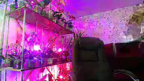 Snapshot of lady_gloria chatting on 02.22.25 Lady Gloria online show from 02.22.25