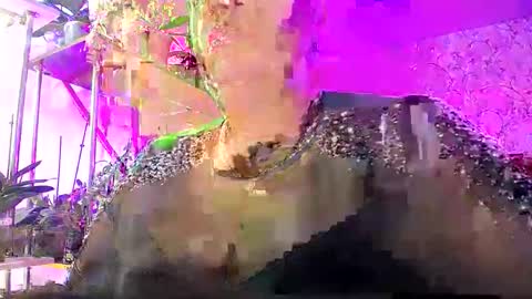 Snapshot of lady_gloria chatting on 10.25.25 Lady Gloria online show from 10.25.25