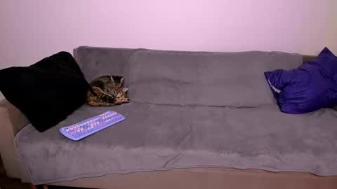 LadyTrep online show from 01.31.26