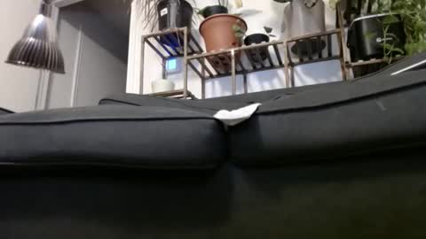 Snapshot of laidback_and_chill chatting on 12.23.24 Rick online show from 12.23.24