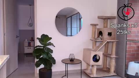 Laira online show from 02.11.26