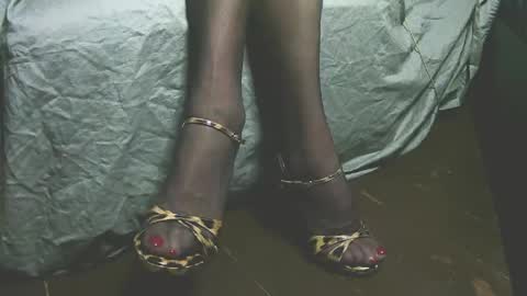 lana_legs53 online show from 04.19.26