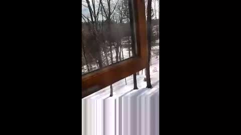 langederek2 online show from 03.19.26