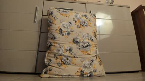 Snapshot of laracara chatting on 12.18.24 Lara online show from 12.18.24