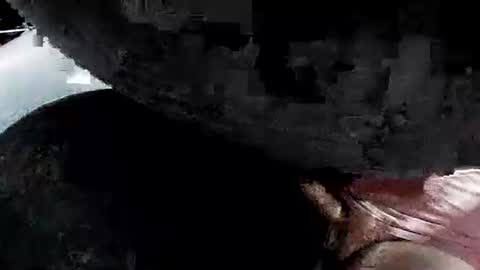 latexchris77 online show from 04.16.26