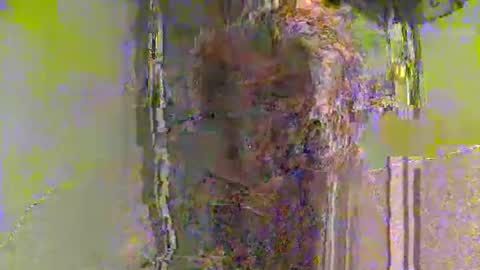 lathams1 online show from 04.19.26