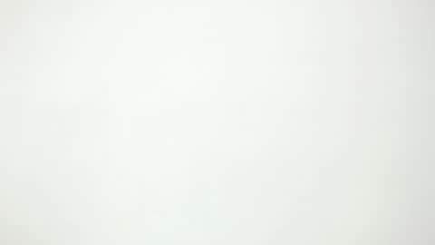 M E G A N  online show from 01.11.26