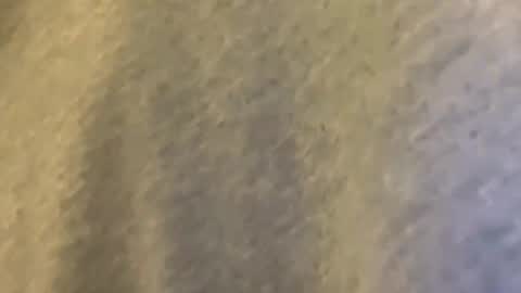 Mexakin online show from 03.09.26