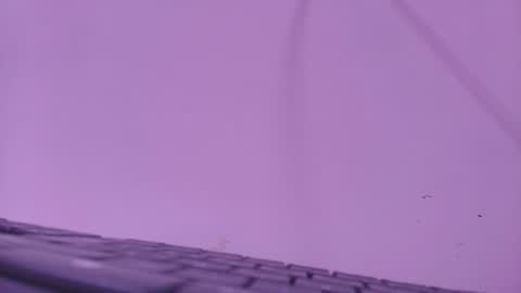 Lay Madison  online show from 06.20.26