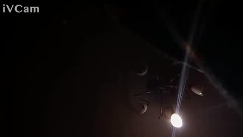 Snapshot of laydayy chatting on 01.12.26 laydayy online show from 01.12.26